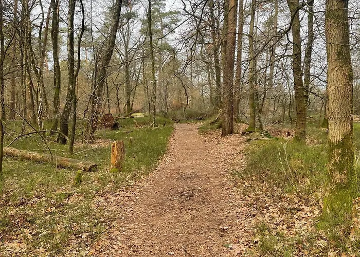 Forest Finest, Luxe Chalet Met Hot Tub Mooie Overkapping En Prachtige Tuin Met Veel Privacy