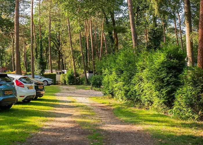 Forest Finest, Luxe Chalet Met Hot Tub Mooie Overkapping En Prachtige Tuin Met Veel Privacy