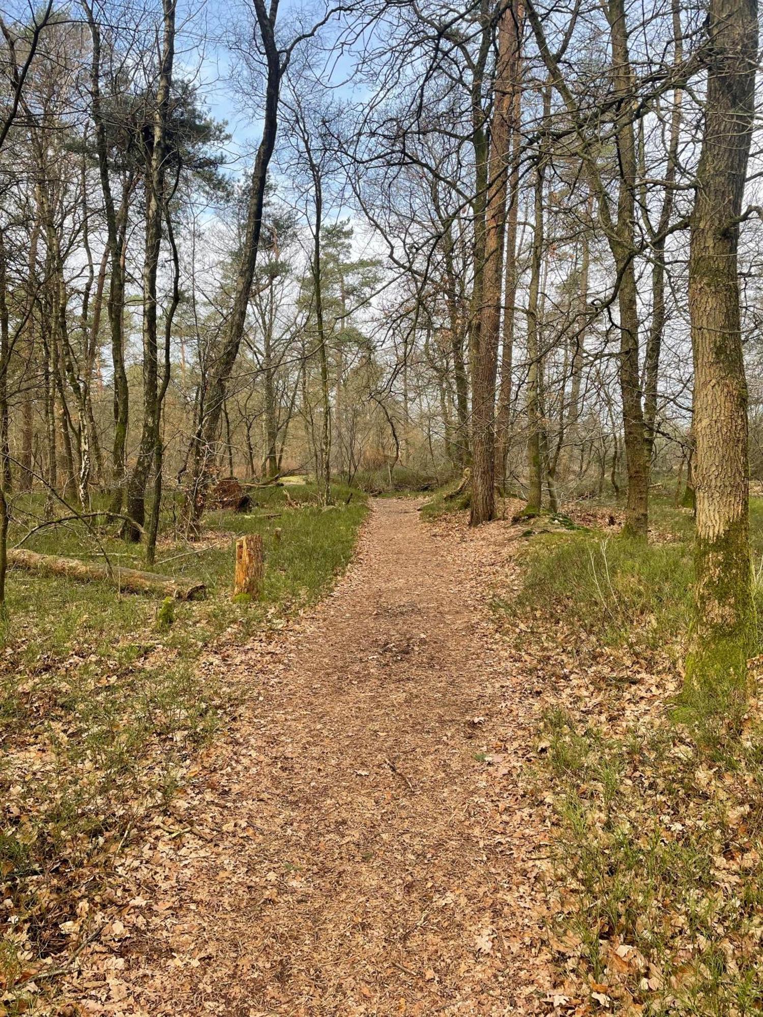 Forest Finest, Luxe Met Hot Tub Mooie Overkapping En Prachtige Tuin Met Veel Privacy Hoenderloo