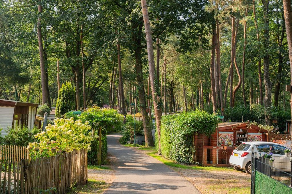 Forest Finest, Luxe Met Hot Tub Mooie Overkapping En Prachtige Tuin Met Veel Privacy Chalet Hoenderloo