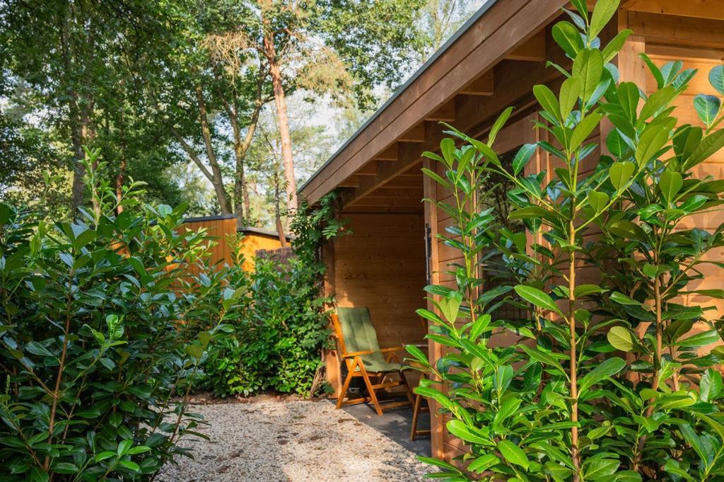 Chalet Forest Finest, Luxe Met Hot Tub Mooie Overkapping En Prachtige Tuin Met Veel Privacy Hoenderloo