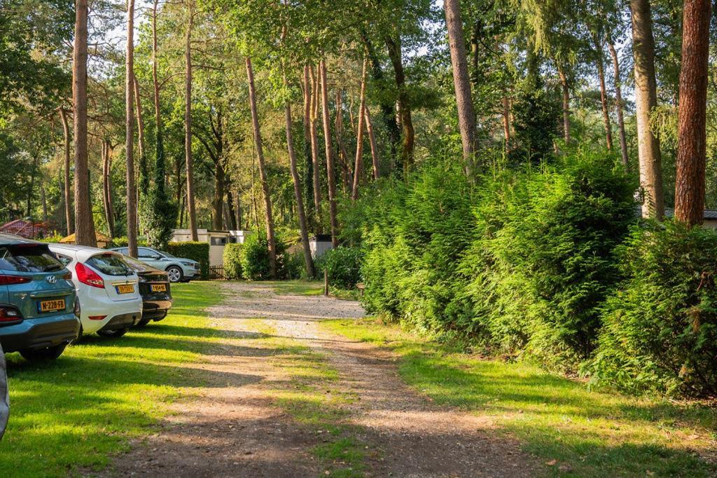 Forest Finest, Luxe Met Hot Tub Mooie Overkapping En Prachtige Tuin Met Veel Privacy *