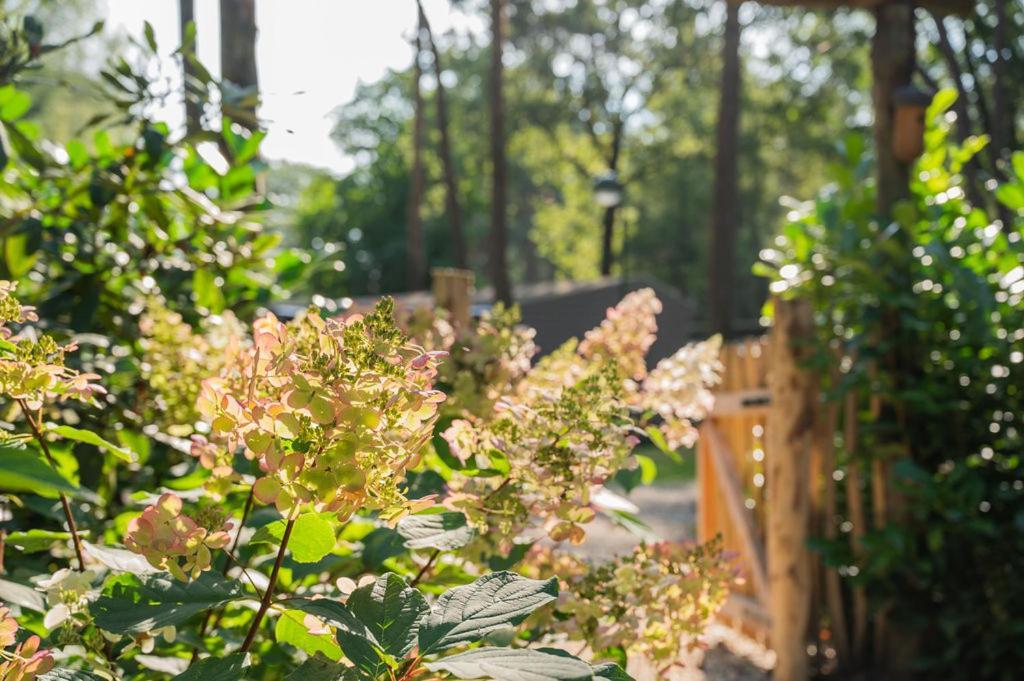 Forest Finest, Luxe Met Hot Tub Mooie Overkapping En Prachtige Tuin Met Veel Privacy Hoenderloo